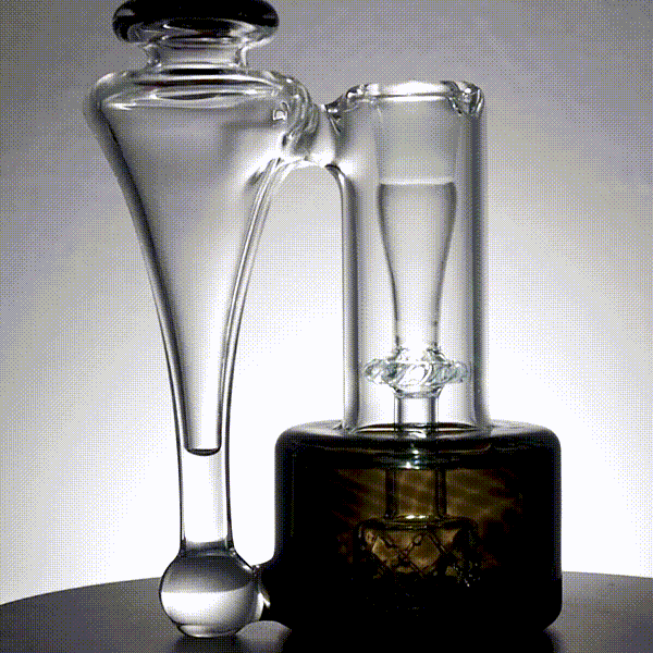 Black x Gold RBR
