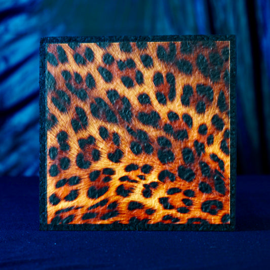 Moodmats - Cheetah 5