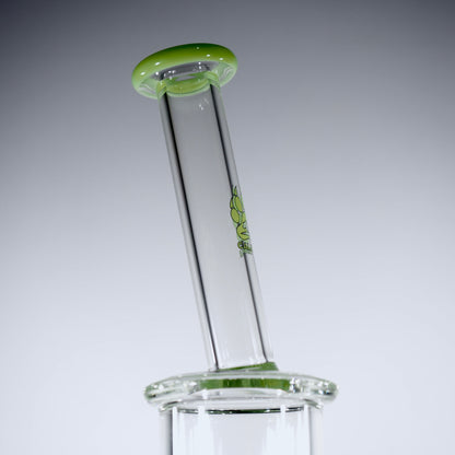 Calibear Colourful Glass Bong Set | Dual Percolator Straight Tube Bong