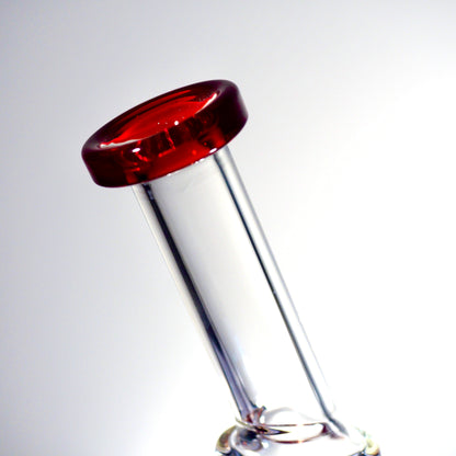 Double uptake recycler Klein