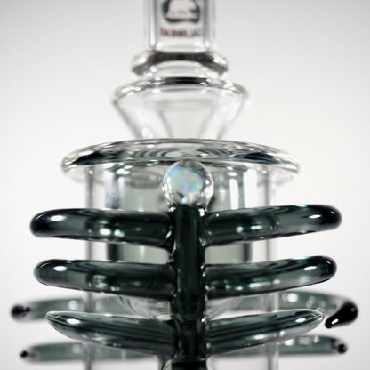 Calibear Horn Torus | 7" Dab Rig - Transparent Black