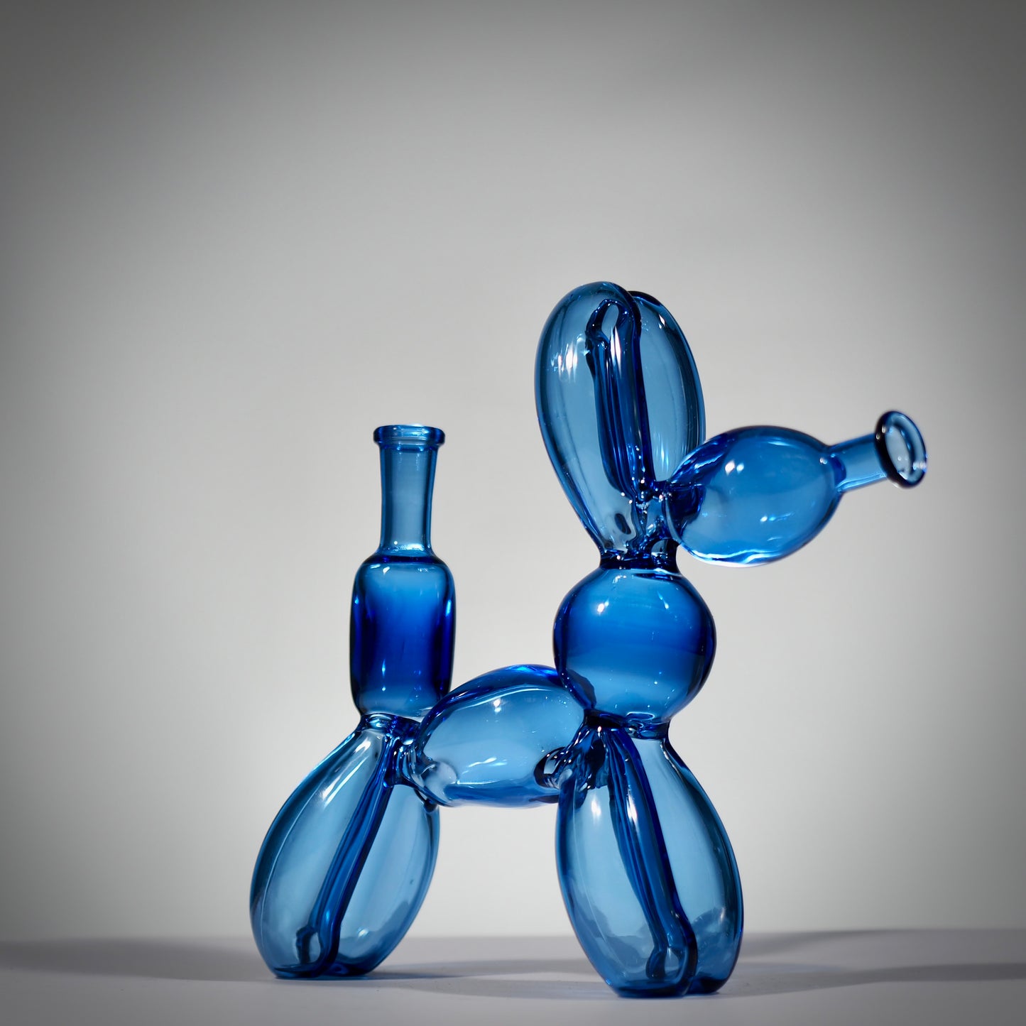 Glass Dog Rig