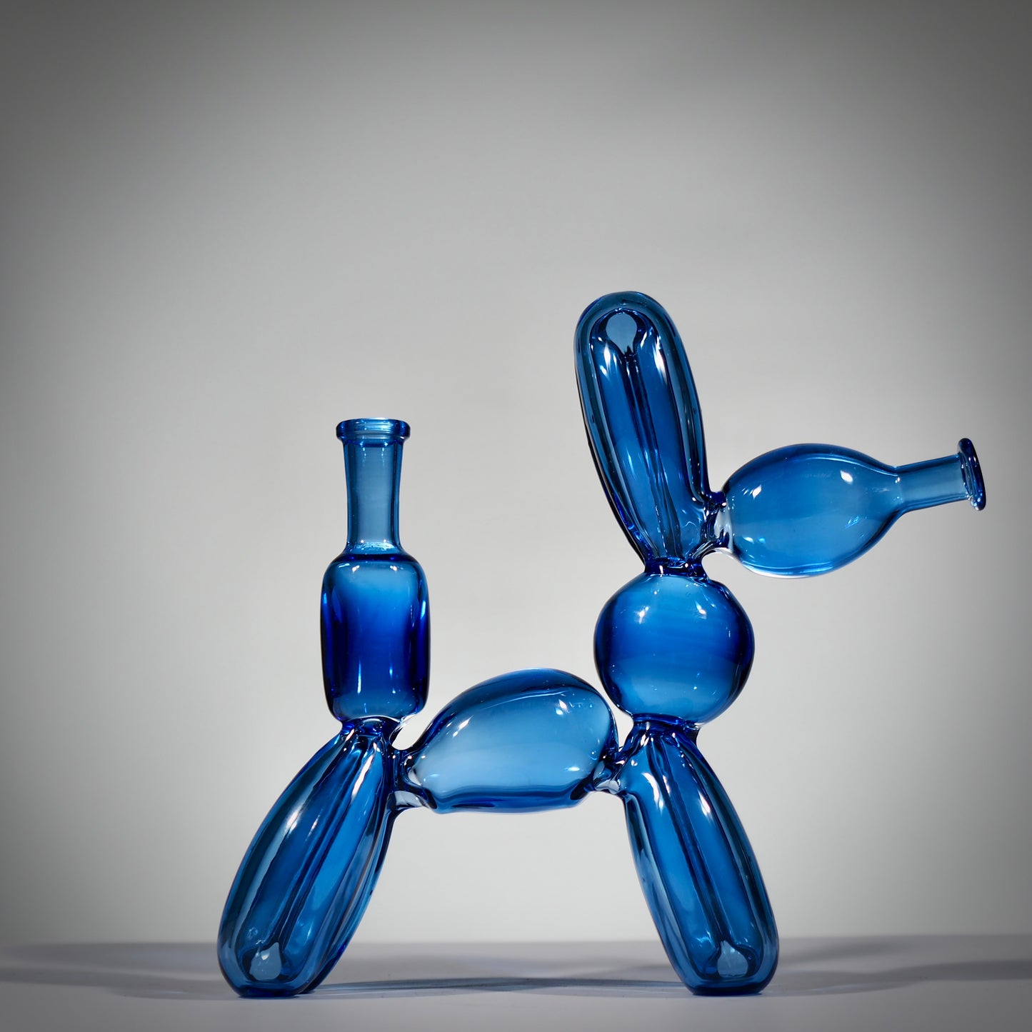 Glass Dog Rig