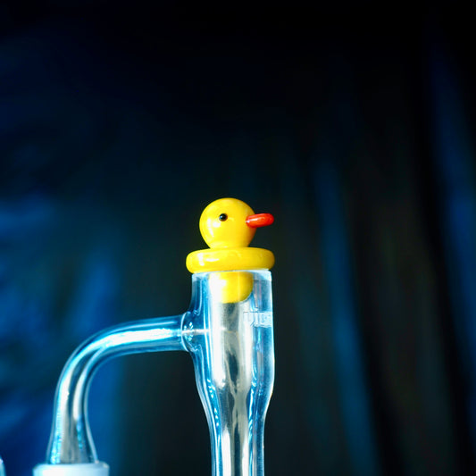 Duck Cap